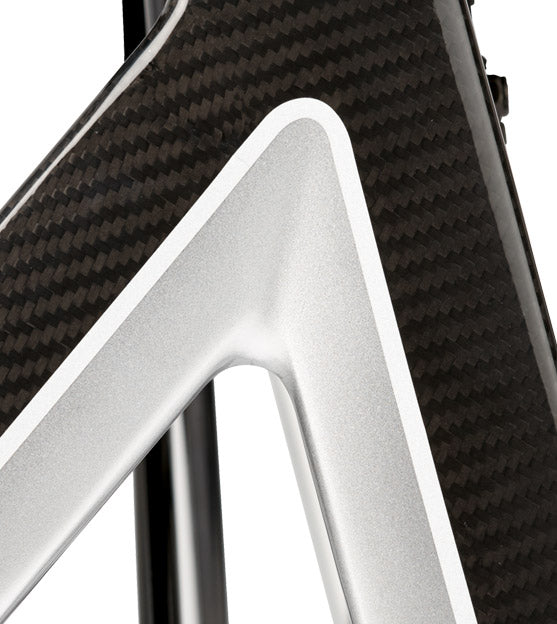 Bischoff & Bischoff Alevo Carbon Leichgewichtrollator