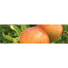 Granatapfelkern Nackenkissen Kryotherm natur