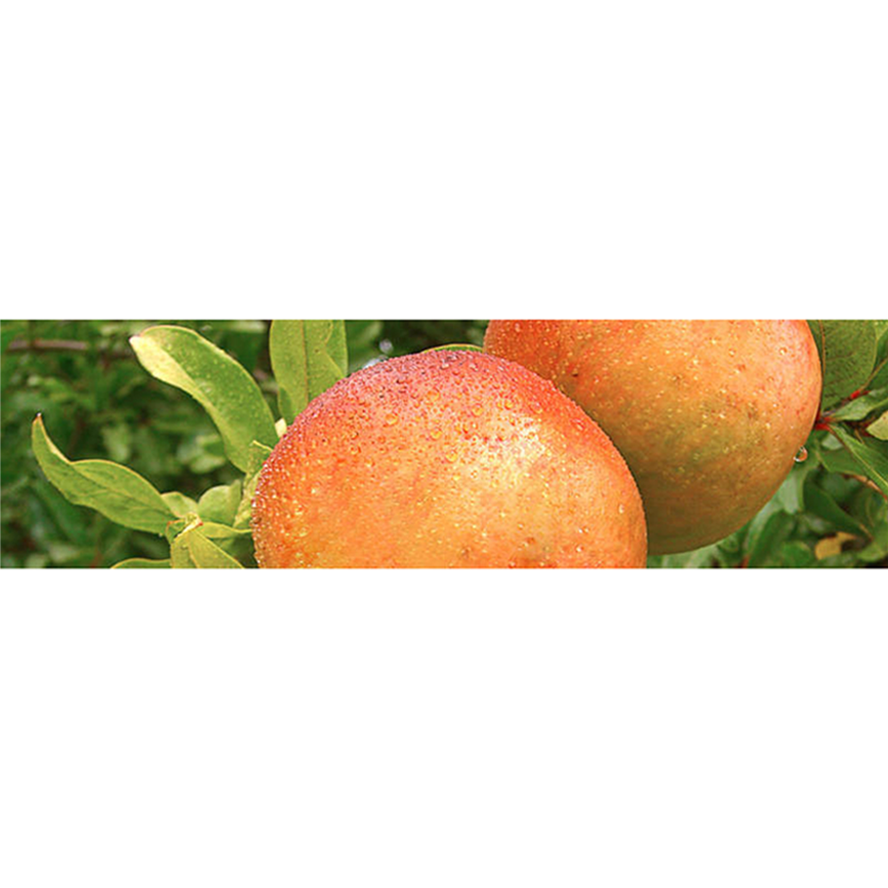 Granatapfelkernkissen Kryotherm natur klein